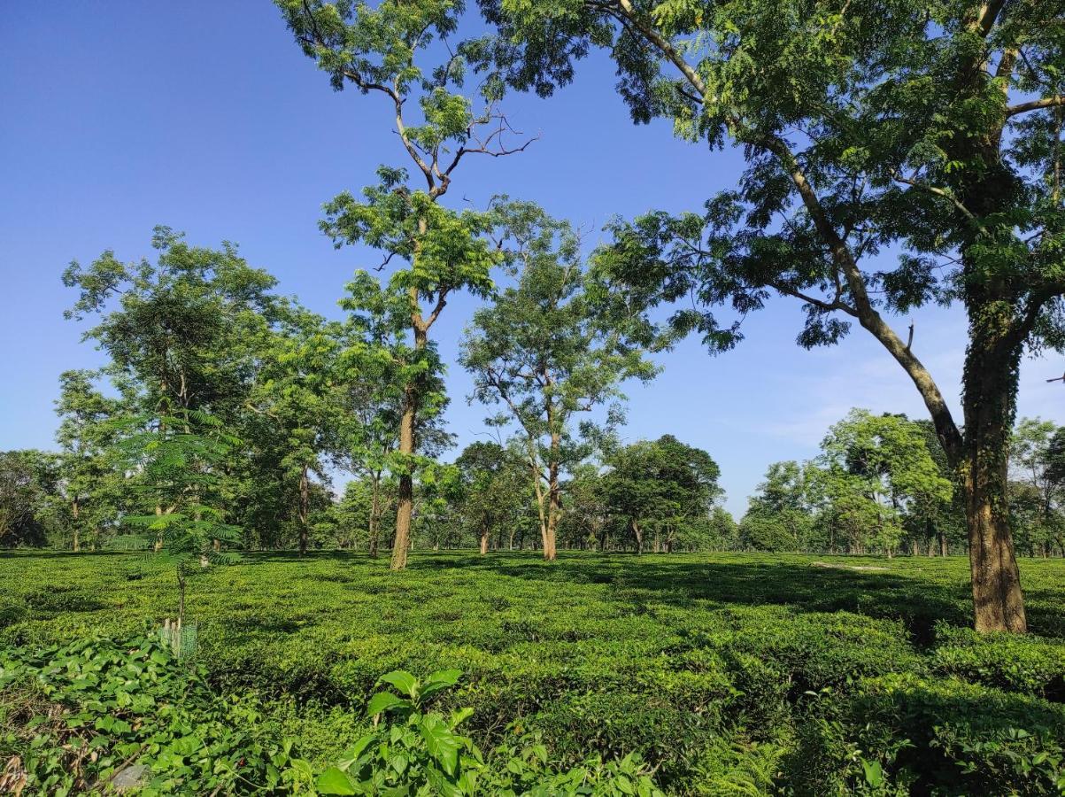 Manas Green Home Stay Jyoti Gaon Kültér fotó